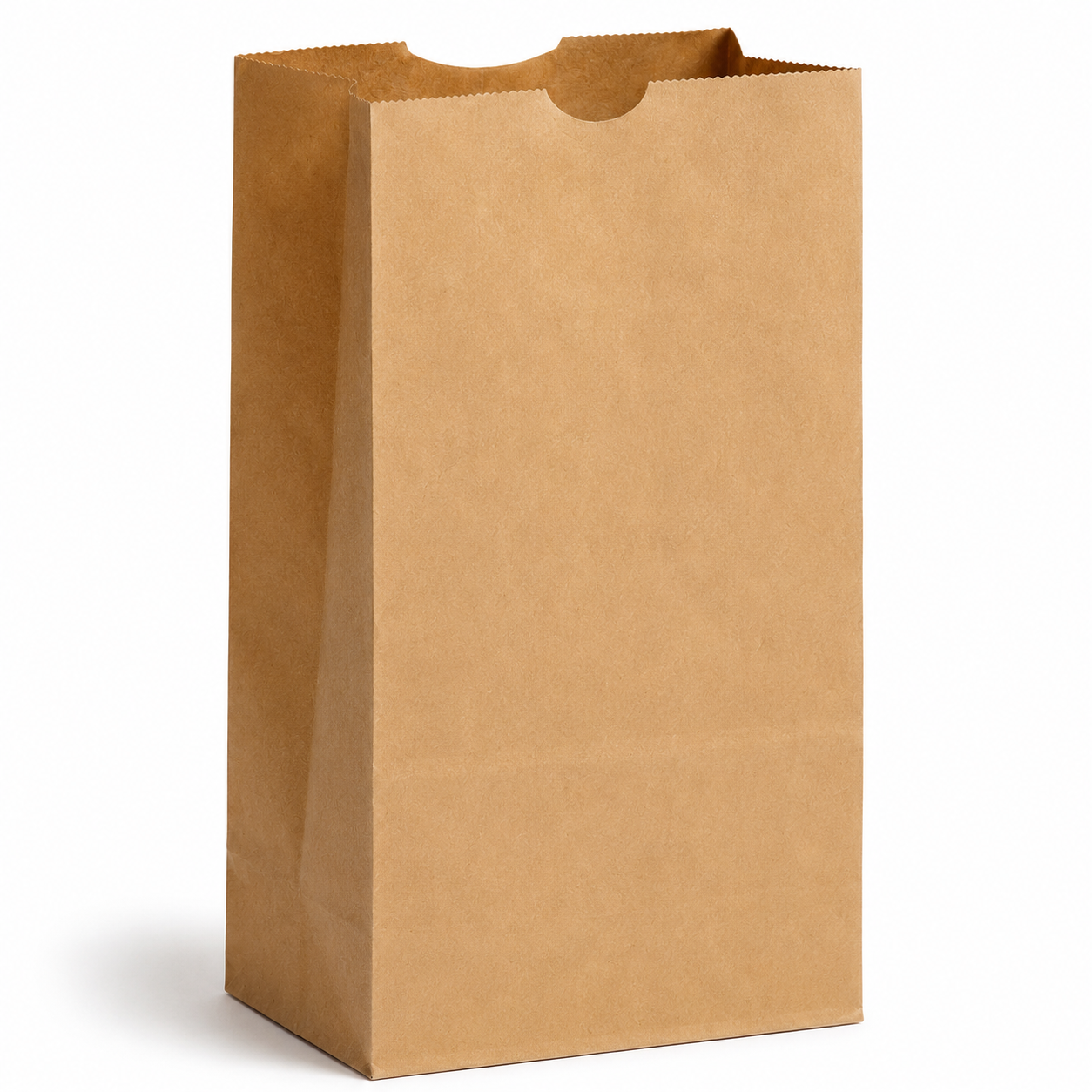 Kraft Paper Bags
