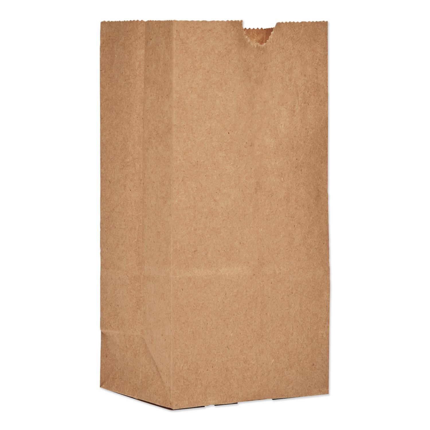 Premier PAPER BAG # 6